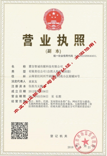 蒙自智誠傳媒科技有限公司營業執照