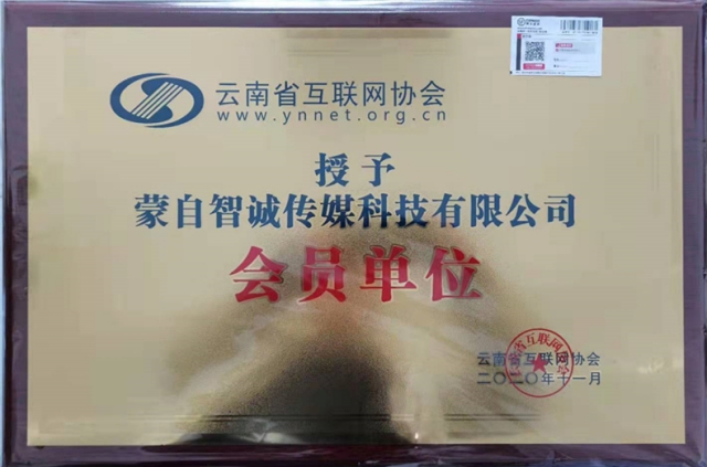 云南省互聯網協會會員單位牌匾